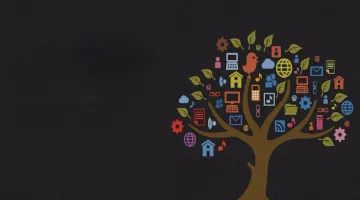 京東盛際小貸發布2024年財報，近年業績波動大